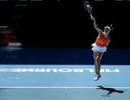 印度队主场表现出色