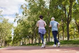 [西甲]第14轮：塞维利亚0-2皇家贝蒂斯 集锦